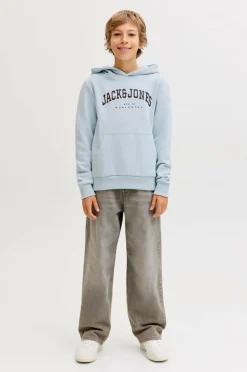 Jack & Jones Junior Hættetrøje jjeCaleb Varsity Sweat Hood Noos JN