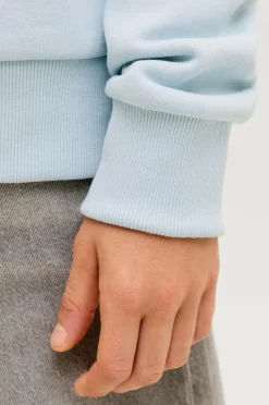 Jack & Jones Junior Hættetrøje jjeCaleb Varsity Sweat Hood Noos JN