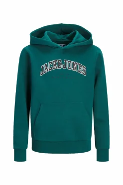 Jack & Jones Junior Hættetrøje jjeCaleb Varsity Sweat Hood Noos JN