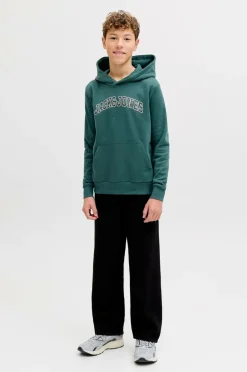 Jack & Jones Junior Hættetrøje jjeCaleb Varsity Sweat Hood Noos JN