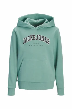 Jack & Jones Junior Hættetrøje jjeCaleb Varsity Sweat Hood Noos JN