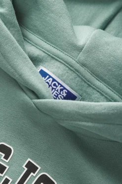 Jack & Jones Junior Hættetrøje jjeCaleb Varsity Sweat Hood Noos JN