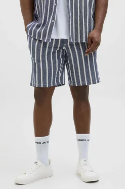 Jack & Jones Plus Shorts jpstJaiden Coba Stripe Jog Short SN