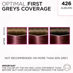 L'Oréal Paris Casting Creme Gloss