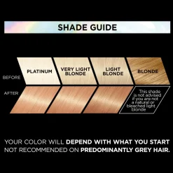 L'Oréal Paris Hårfarve Préférence Vivids