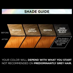 L'Oréal Paris Hårfarve Préférence Vivids