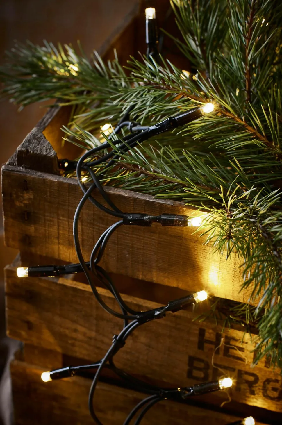 Markslöjd Lyskæde Crab CHRISSLINE 100L LED Varm hvid Ekstra