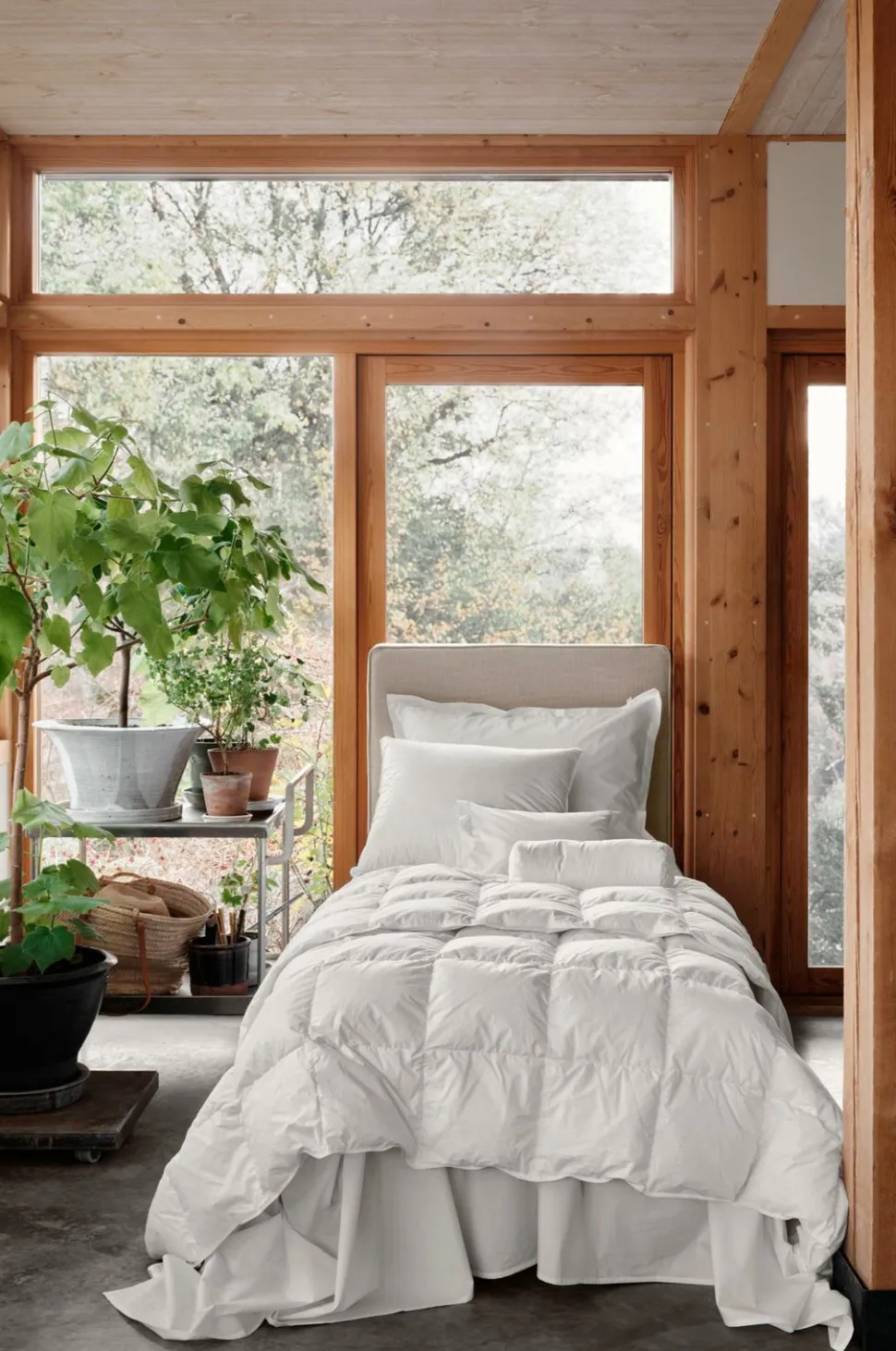 Mille Notti Natura dundyne, medium