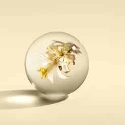 Molton Brown Orange & Bergamot Fine Liquid Hand Wash 300 Ml