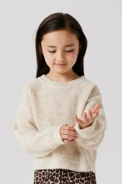 Name it Pullover nkfHolly LS Boxy Short Knit