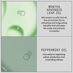 Nioxin Hair Booster Serum 100 Ml