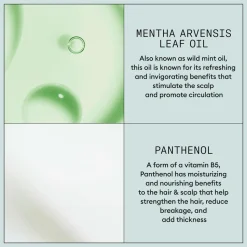 Nioxin Strong Hold Hairspray 300 Ml