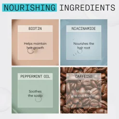 Nioxin System 3 Trial Kit