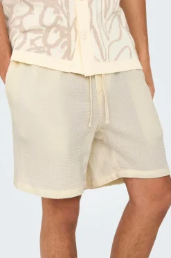 ONLY & SONS Shorts onsTel-Pas 0158 Shorts