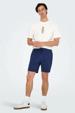 ONLY & SONS Shorts Onskian Life Reg Seersucker Shorts
