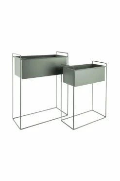 Present Time Plantekrukkesæt Essence