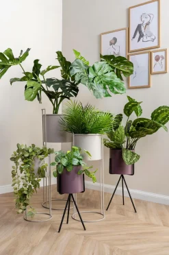 Present Time Plantepotte sæt Essence