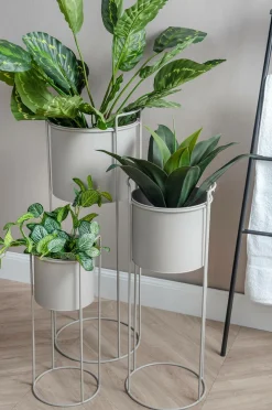 Present Time Plantepotte sæt Essence