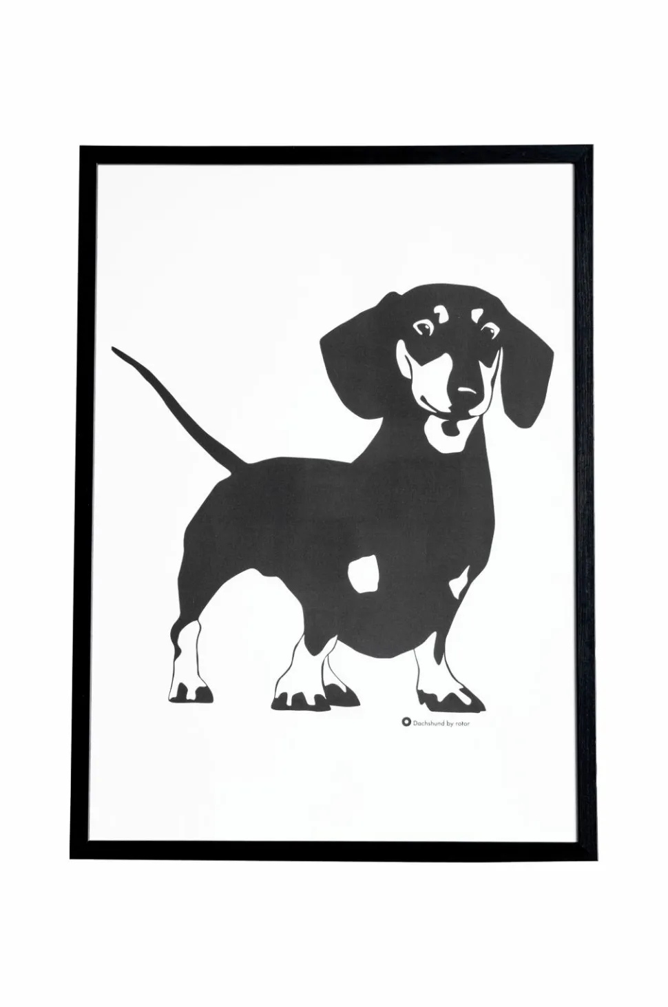 Rotor design Plakat Åke