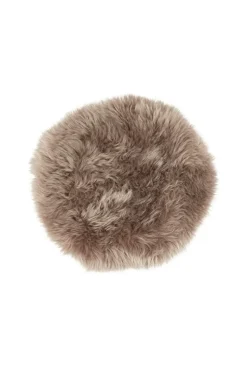 Shepherd Molly Stolehynde