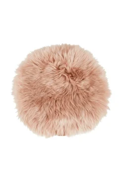 Shepherd Molly Stolehynde