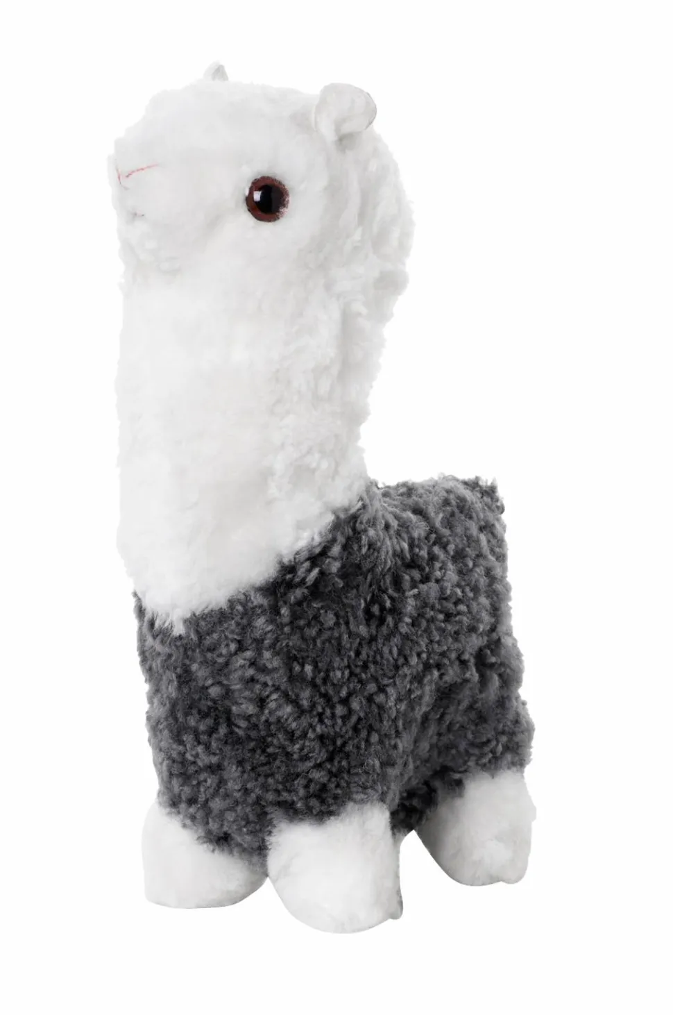 Skinnwille Alpaka i fåreskind Curly