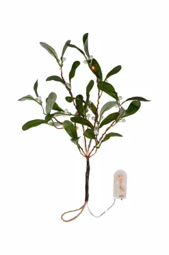 Star Trading Gren Mistel