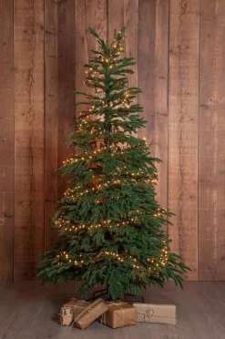 Star Trading Juletræ Edane 210 cm