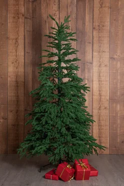 Star Trading Juletræ Edane 210 cm