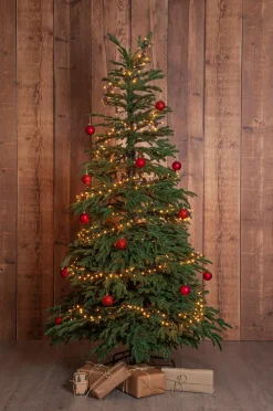 Star Trading Juletræ Edane 210 cm