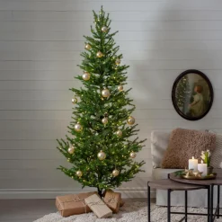 Star Trading Juletræ udendørs Malung, 200 cm