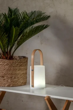 Star Trading Lanterne Lisa Usbc