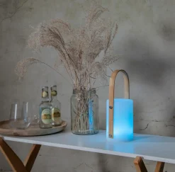 Star Trading Lanterne Lisa Usbc