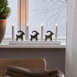 Star Trading Lysestage Bruse