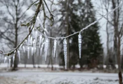 Star Trading Lyskæde med istapper Gelido