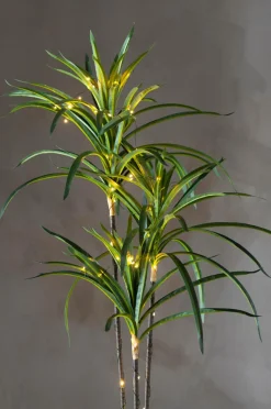 Star Trading Træ Bali 84cm