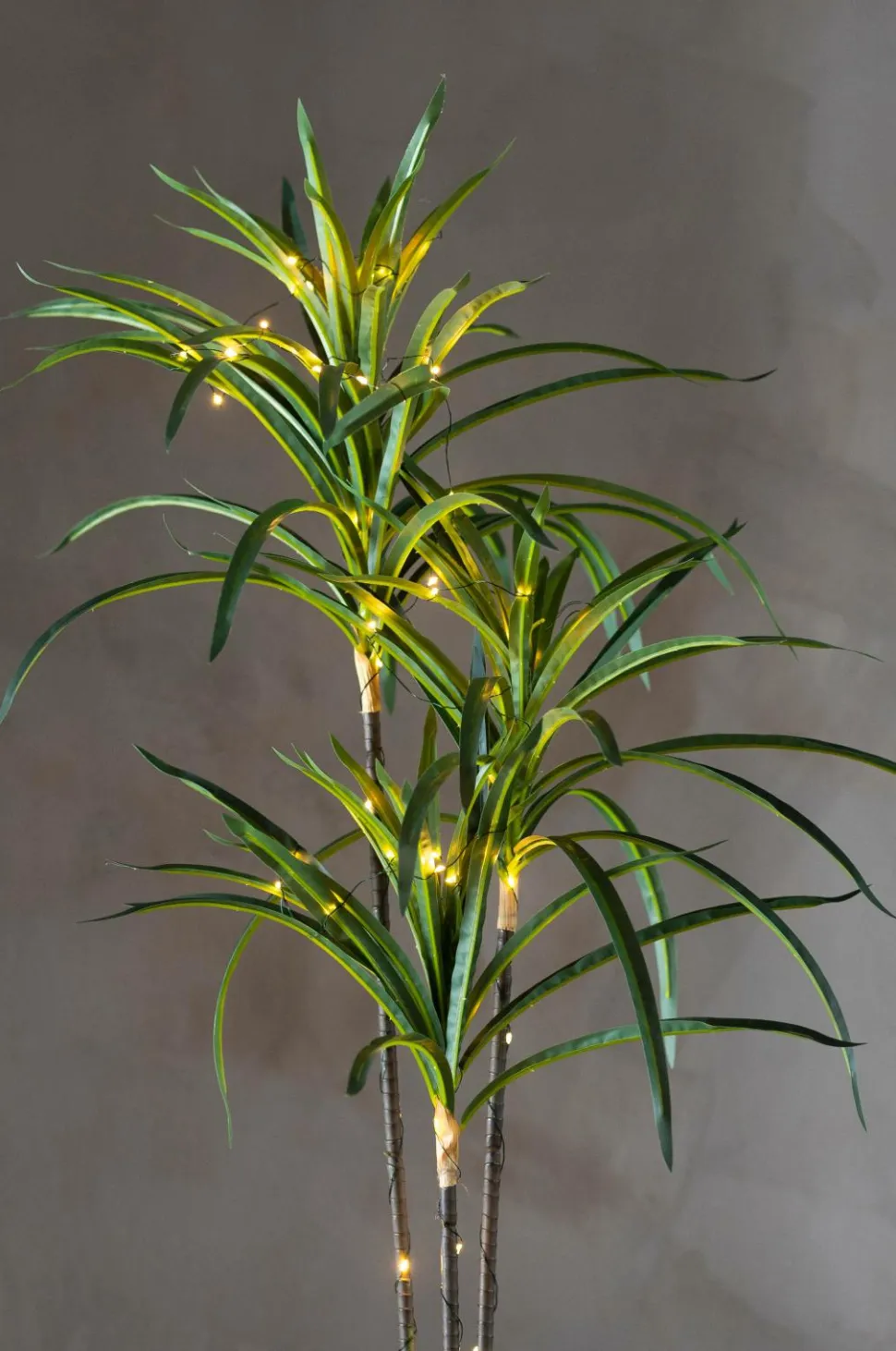 Star Trading Træ Bali 84cm