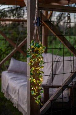 Star Trading Træ Laos 35