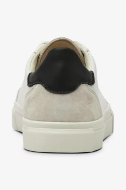 Vagabond Kondisko Cody