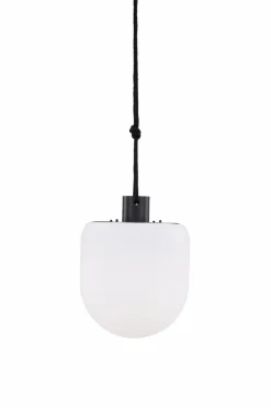 Venture Home Pendellampe Colie