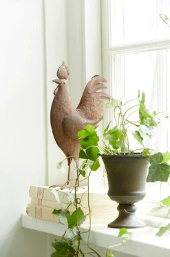 Wikholm Form Rooster L