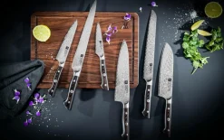 ZWILLING Skalkniv Tanrei 10 cm